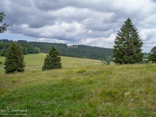 Appartamento per vacanze Nestelbach bei Graz Ambiente 25