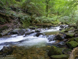 Appartamento per vacanze Nestelbach bei Graz Ambiente 26