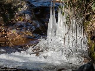 Appartamento per vacanze Nestelbach bei Graz Ambiente 27