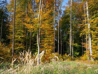 Appartamento per vacanze Nestelbach bei Graz Ambiente 34