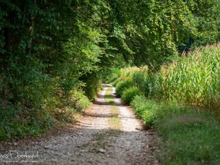 Appartamento per vacanze Nestelbach bei Graz Ambiente 40