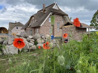 Casa per le vacanze Mellnitz Ambiente 35