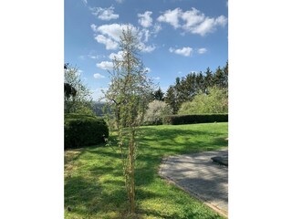 Vakantiehuisje Bitburg Buitenaudio-opname 3