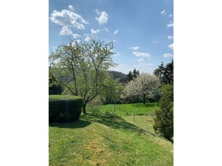 Casa de campo Bitburg Grabación al aire libre 8