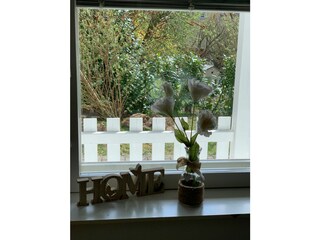 Casale Bitburg Caratteristiche 23