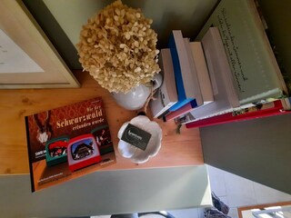 Appartamento per vacanze Zell am Harmersbach Caratteristiche 17