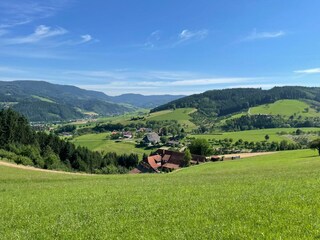 Vakantieappartement Zell am Harmersbach  21