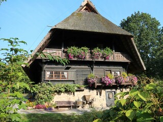 Vakantieappartement Zell am Harmersbach Buitenaudio-opname 3