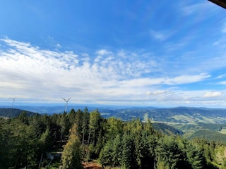 Brandenkopf Weitsicht