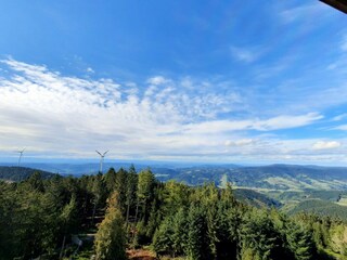 Vakantieappartement Zell am Harmersbach  23