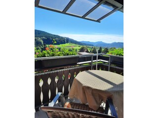 Vakantieappartement Zell am Harmersbach Omgeving 9