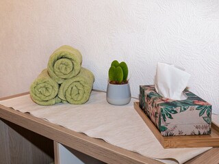 Appartamento per vacanze Zell am Harmersbach Caratteristiche 20