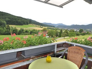 Appartamento per vacanze Zell am Harmersbach Registrazione all'aperto 5