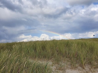 Vakantiehuis Blåvand  20