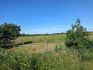 Vakantiehuis Blåvand  10