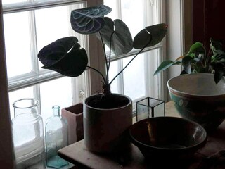 Holiday house Heggenes  6