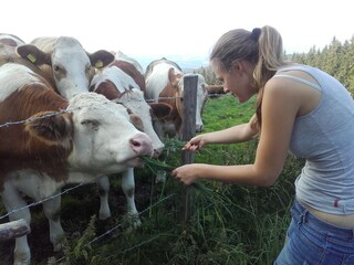 Chalet Pöllau Omgeving 27