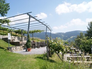 Chalet Pöllau Ambiente 32