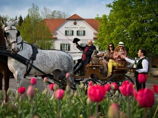 Chalet Pöllau Omgeving 33
