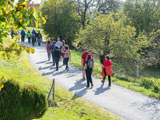 Chalet Pöllau Omgeving 23