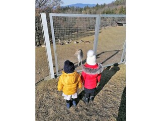 Chalet Pöllau Omgeving 29