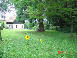 Garten mit Blumenwiese