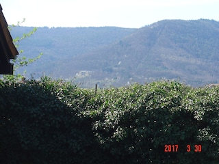 Blick vom Garten zur Villa Ludwigshöhe