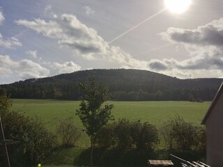 Buchbergblick