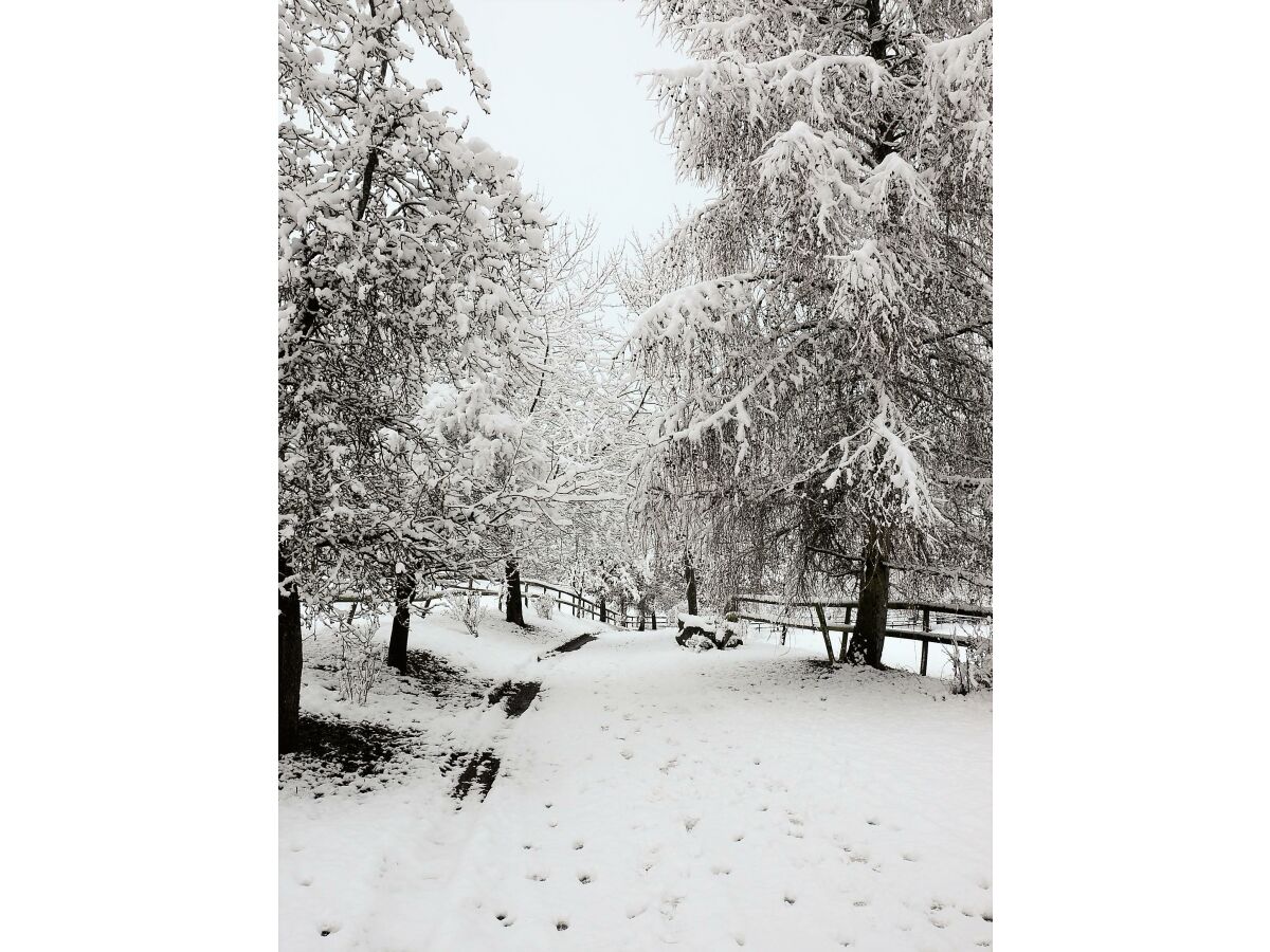 Winter in der Vulkaneifel