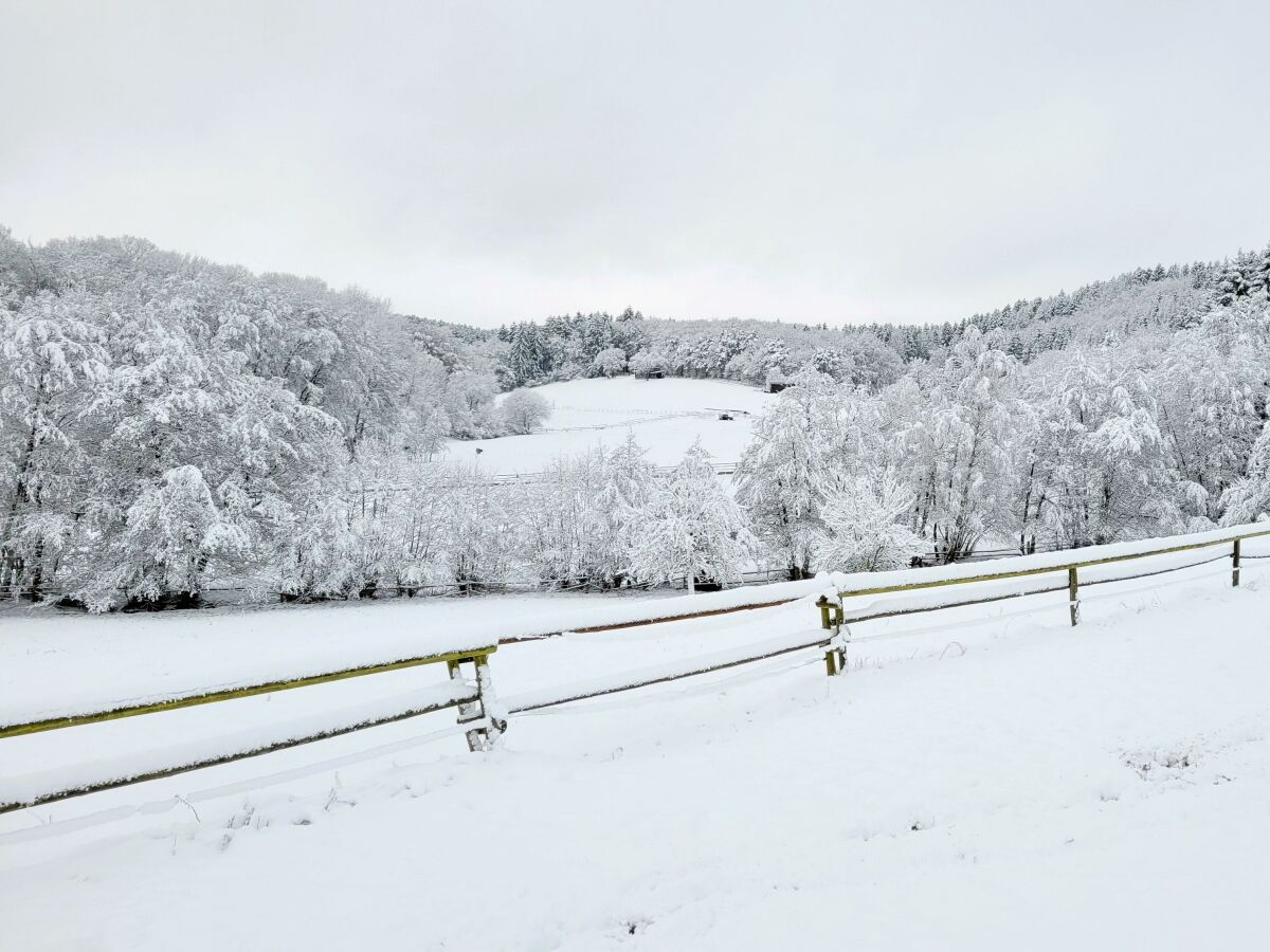 Winter in der Vulkaneifel