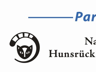 Logo NP-Partner
