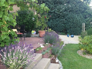 von der Terrasse in den Garten