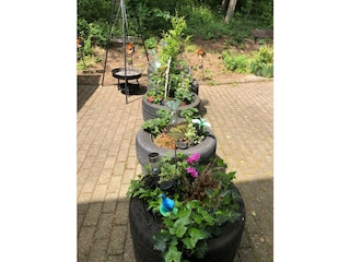 Gartenanlage
