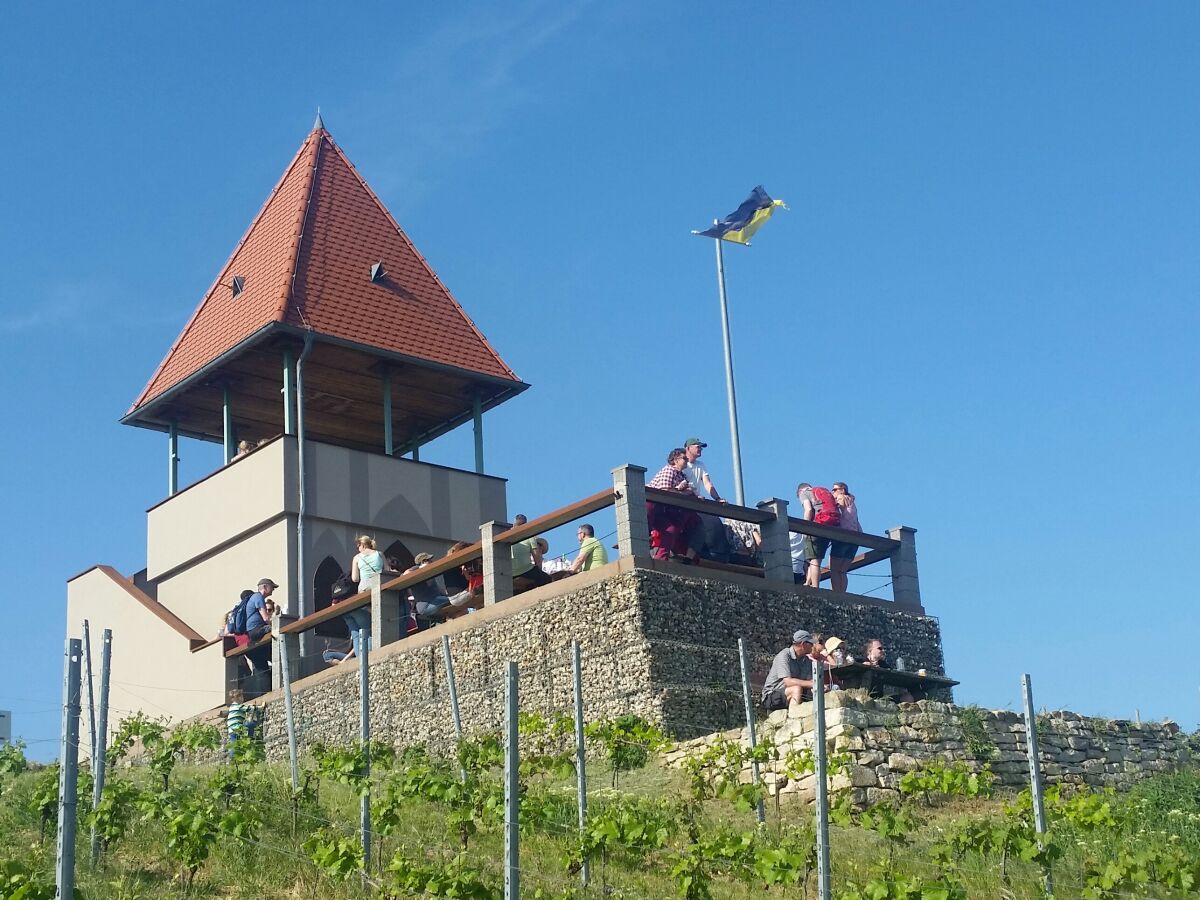 Ferienhaus Wörrstadt Umgebung 23