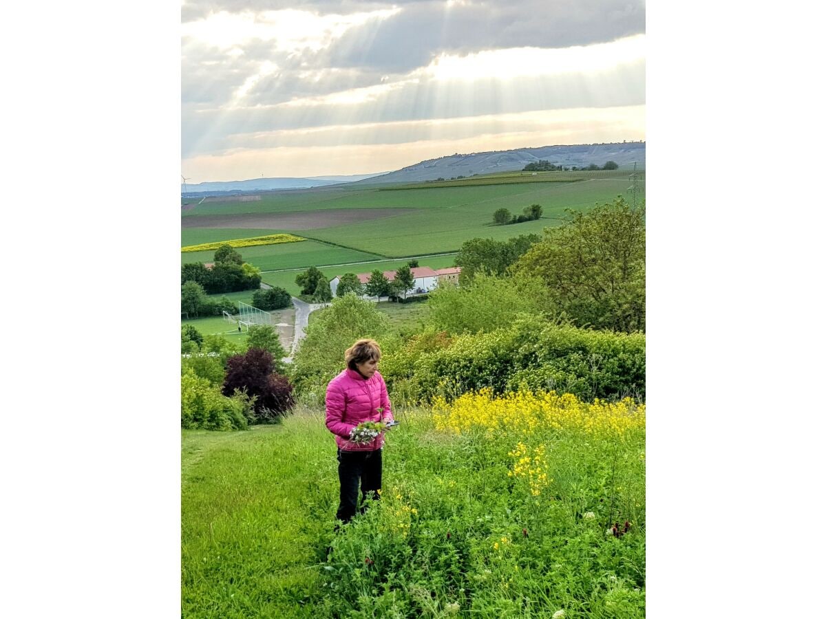 Blick vom Schildberg