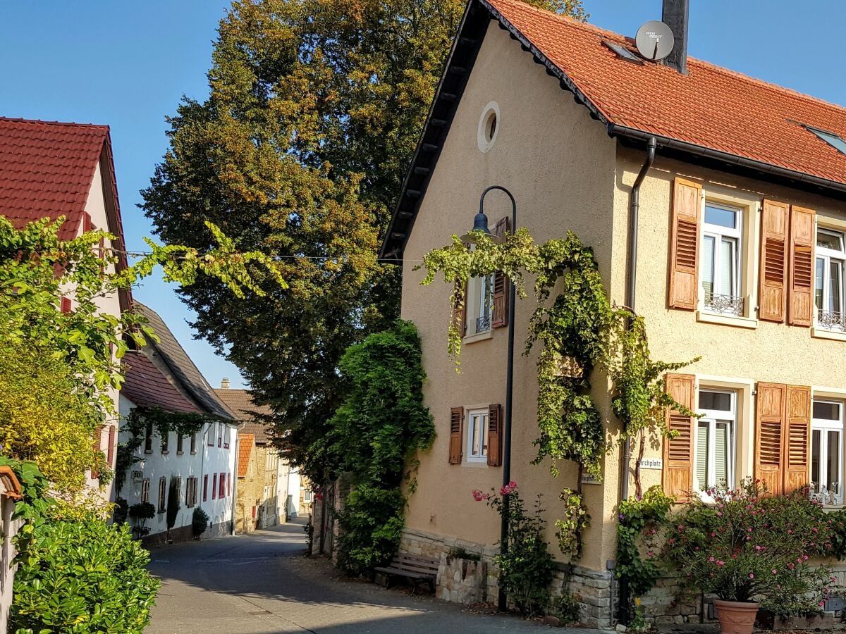 Ferienhaus Wörrstadt Umgebung 19