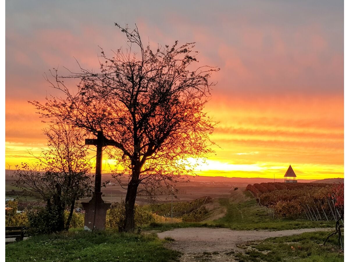 Abendstimmung am Schildberg