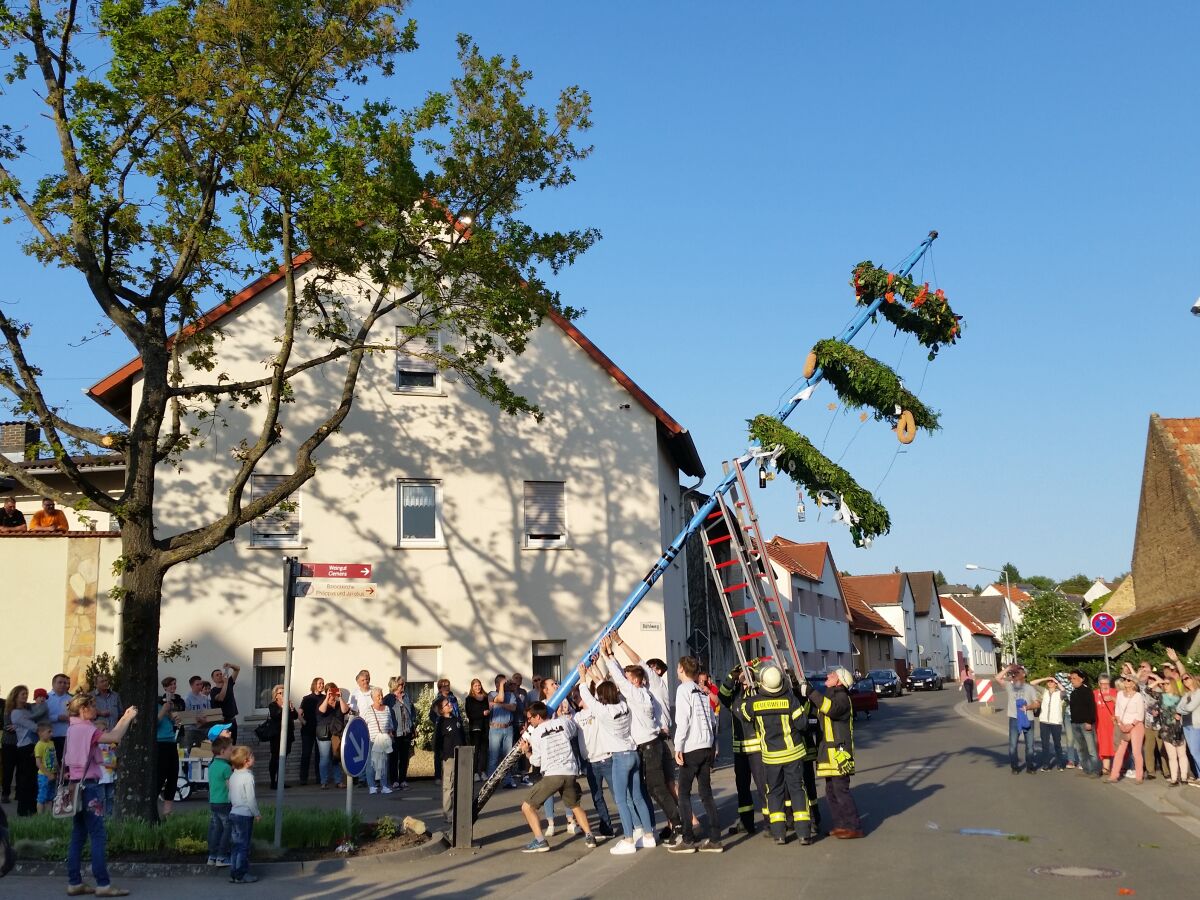 Der Kerbebaum wird aufgestellt.