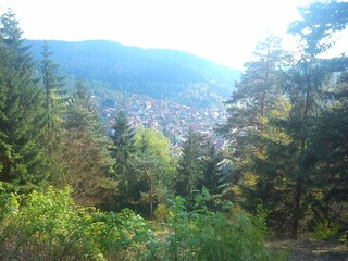 Lautenthal Schöne Aussicht