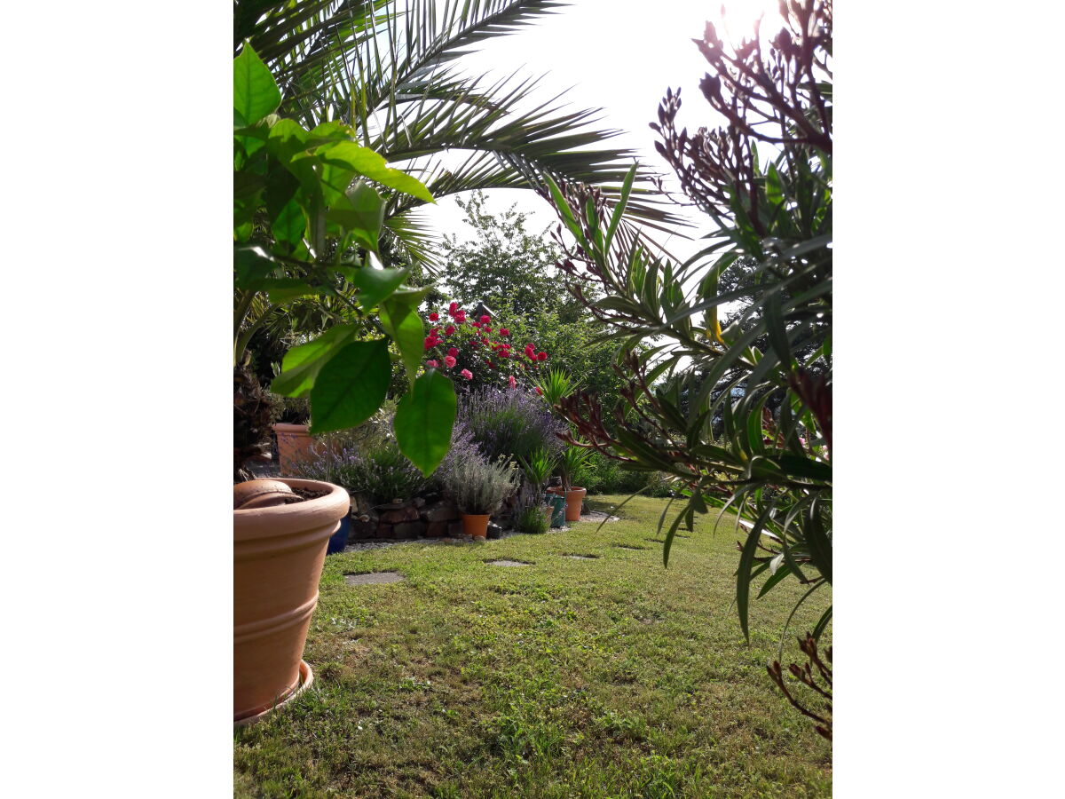 Gartenblick aus der Ferienwohnung