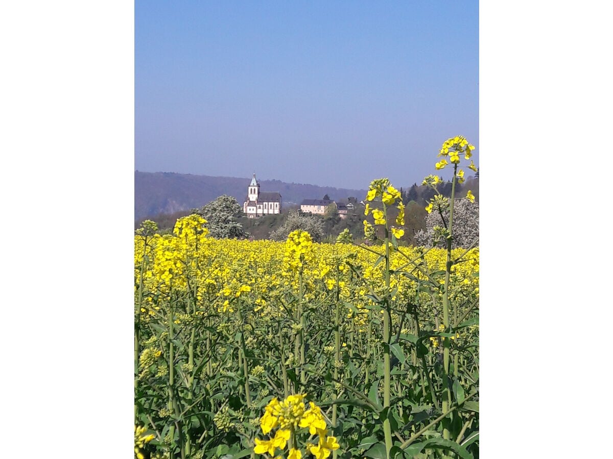 Wanderwege Lahnstein