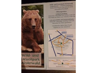 Neueröffnung Wildpark Westerwald 03.10.2025