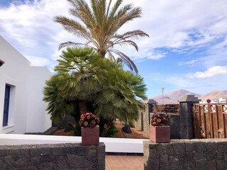 Ferienhaus Playa Blanca Außenaufnahme 7