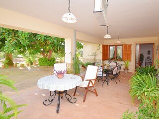 Cottage Búger Outdoor Recording 10