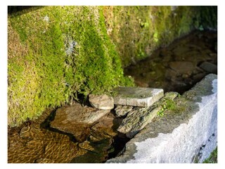 Appartamento per vacanze Comer See Registrazione all'aperto 8