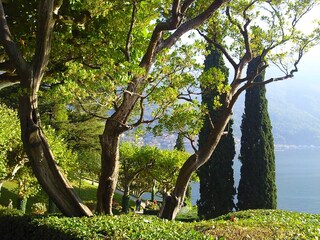 Appartamento per vacanze Comer See Ambiente 38