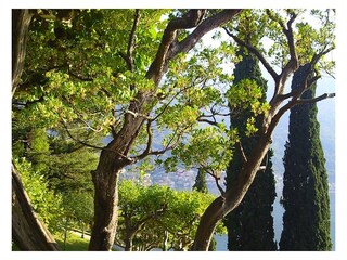 Apartamento de vacaciones Nesso Entorno 28