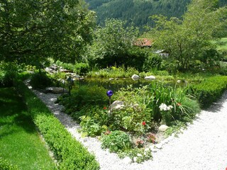 Schwimmteich Blick von Terrasse