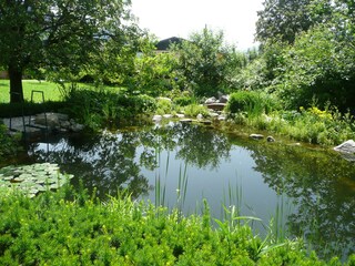 Schwimmteich 0,1.  bis 3 m tief