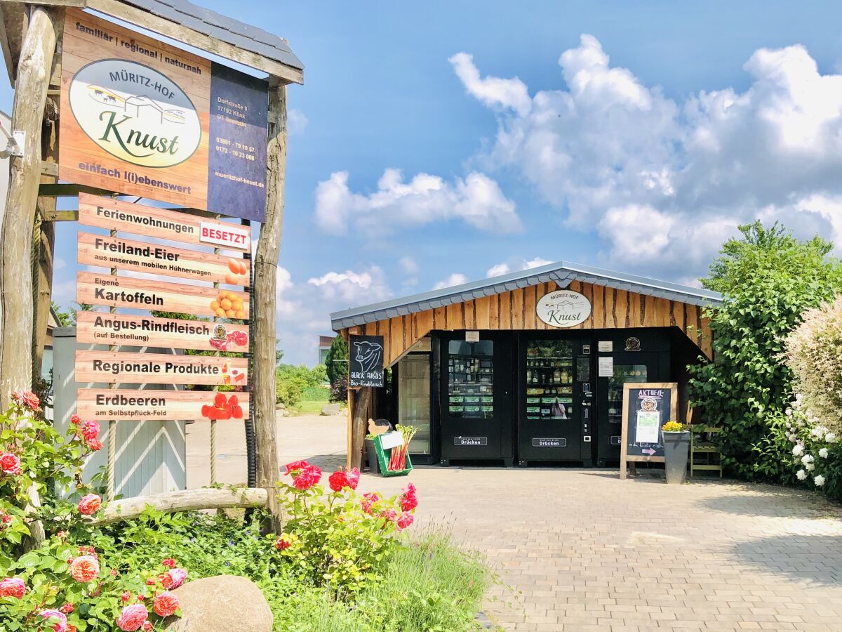 Müritz-Hof Knust - Bauernhof